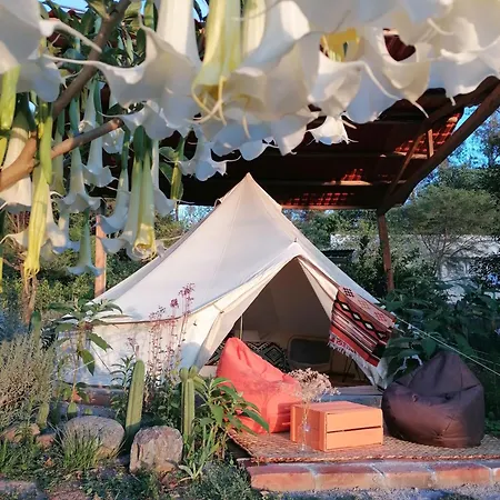 Pishku Wasi Apartment